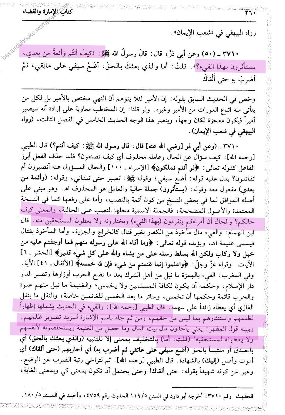 مال فئی (فدک) لوٹنے والے حکمران