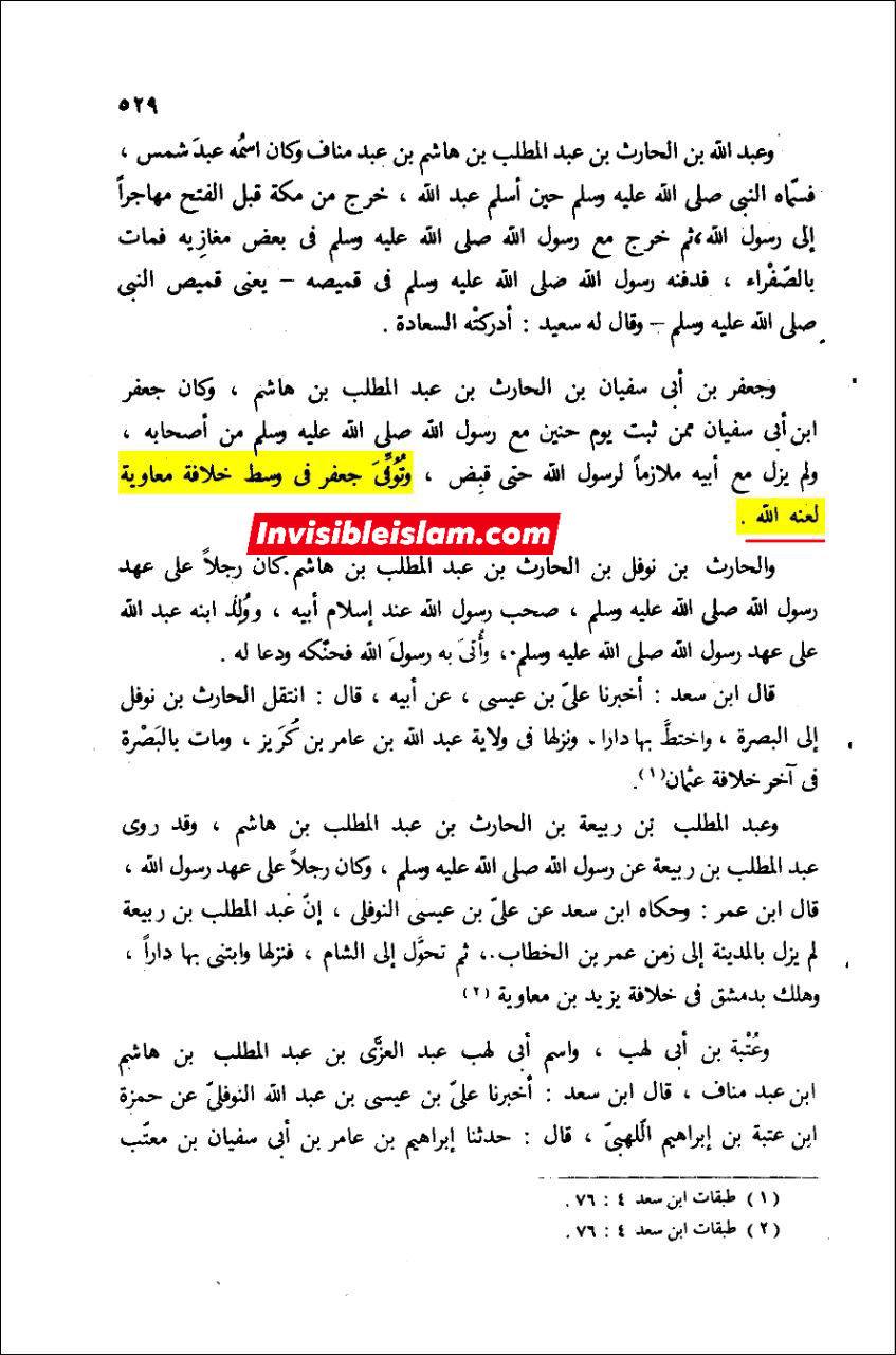 طبری کی طرف سے معاویہ اور یزید پر لعنت