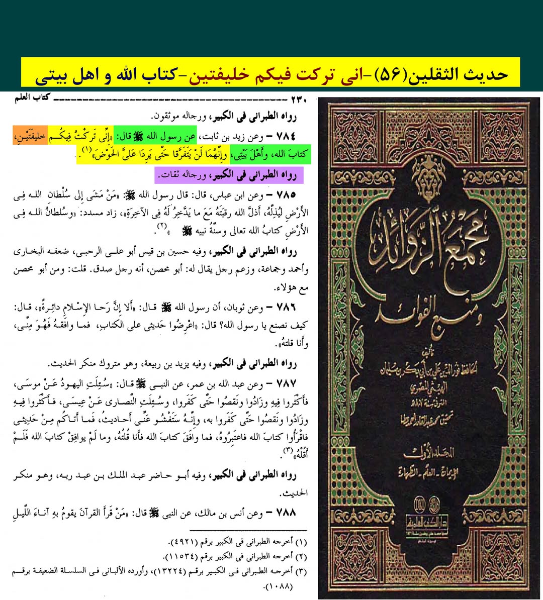 رسول خدا (ص) کے دو کامل خلیفے اور جانشین کون ؟