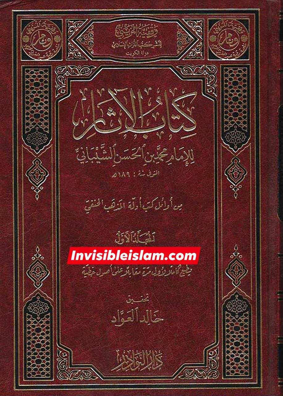 امیرالمؤمنین علیہ السلام کی طرف سے معاویہ پر لعنت