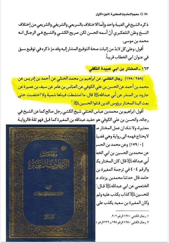 حضرت مختار ثقفیؓ اہل بیت ع کی نگاہ میں