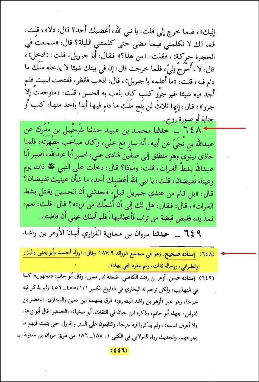 حضرت علیؑ کا امام حسینؑ کی شہادت پر آنسو بہانا