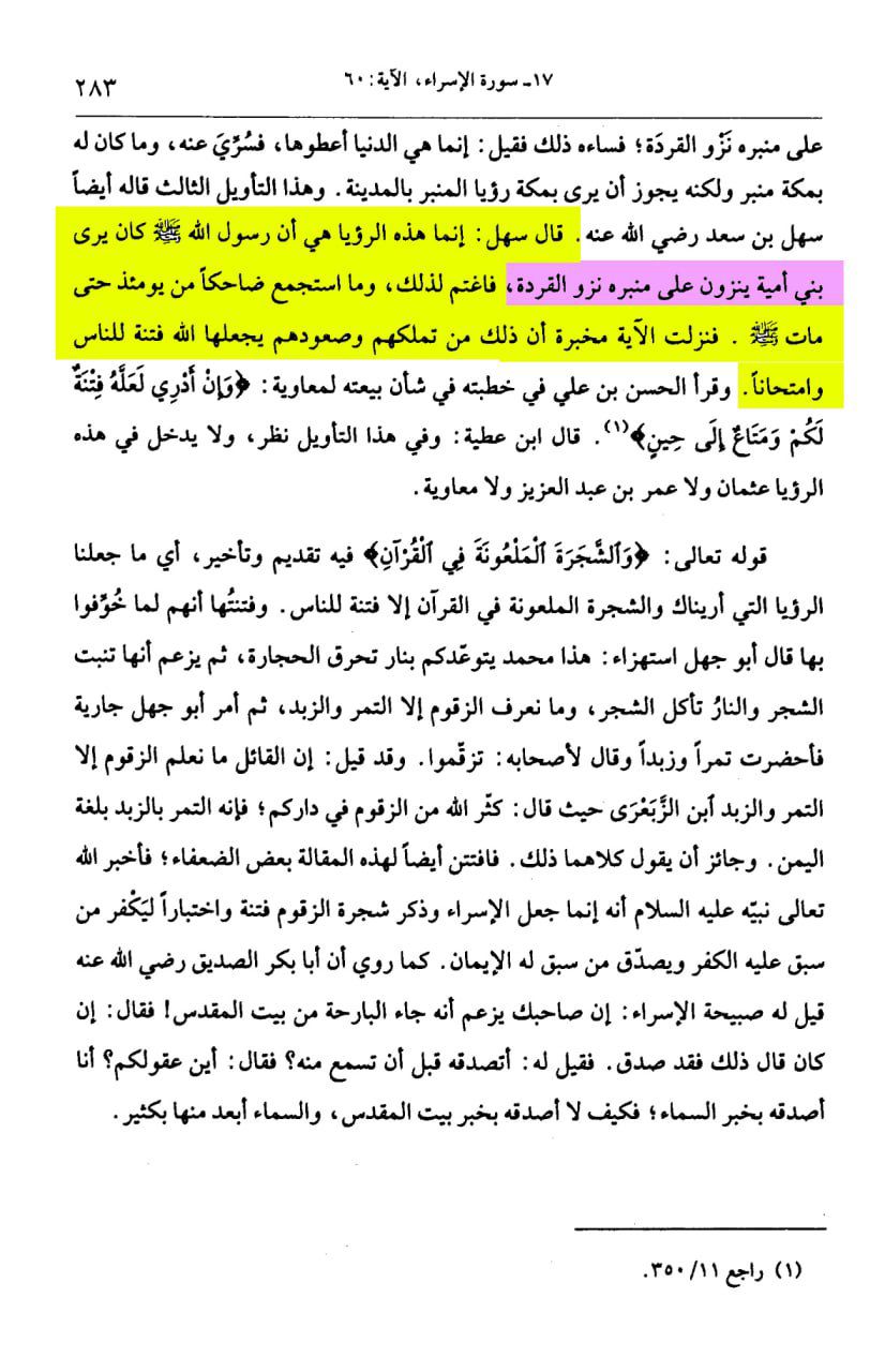 بنی امیہ بندروں کی طرح منبر پر چڑھ رہے ہیں