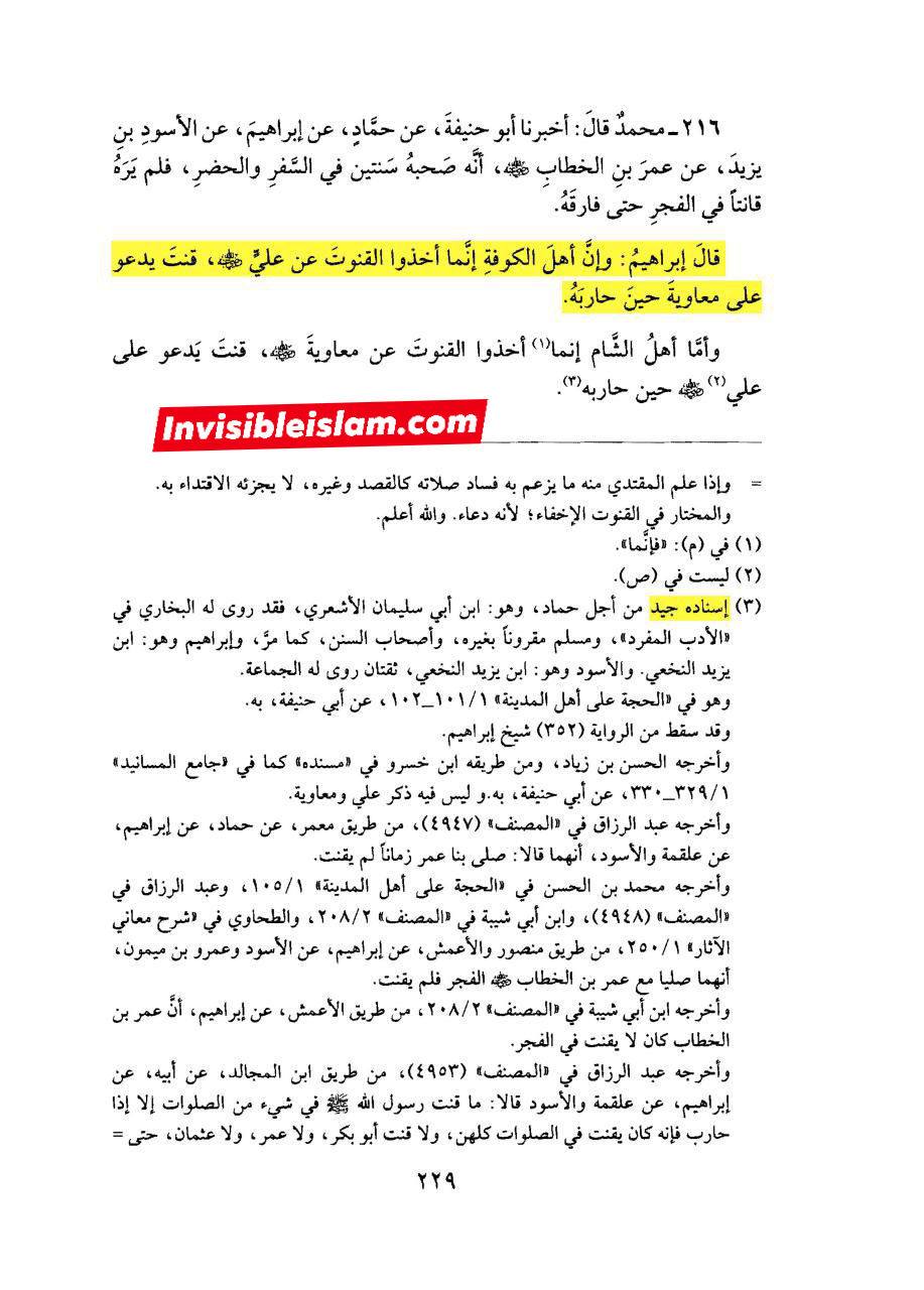 امیرالمؤمنین علیہ السلام کی طرف سے معاویہ پر لعنت