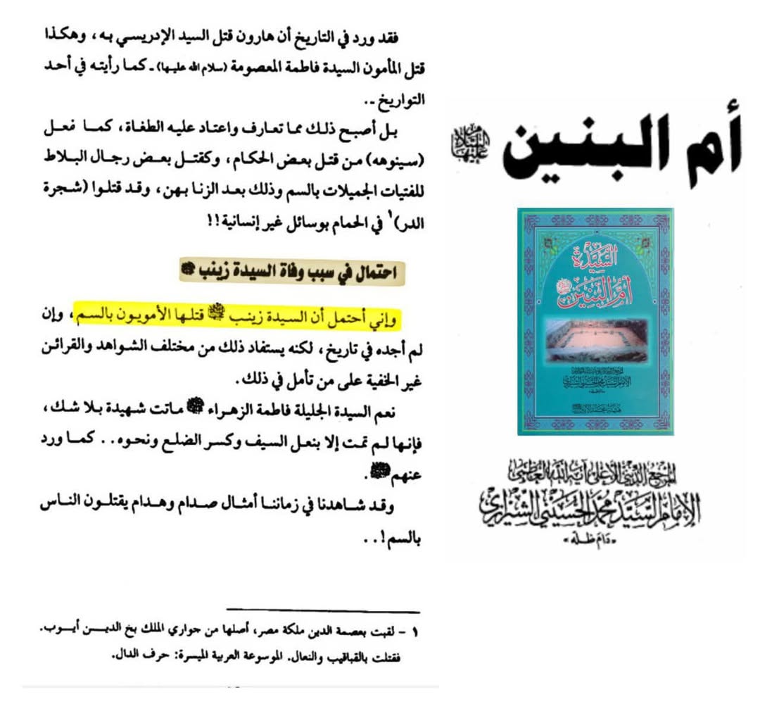 حضرت زینب سلام اللہ علیہا کی شہادت کی علت اور سبب