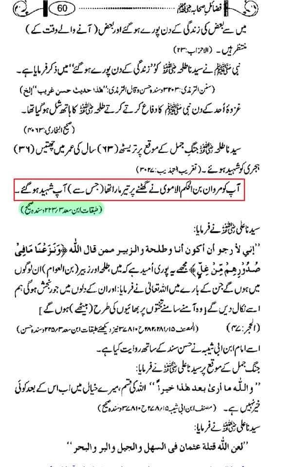 طلحہ قاتل عثمان میں سے تھا