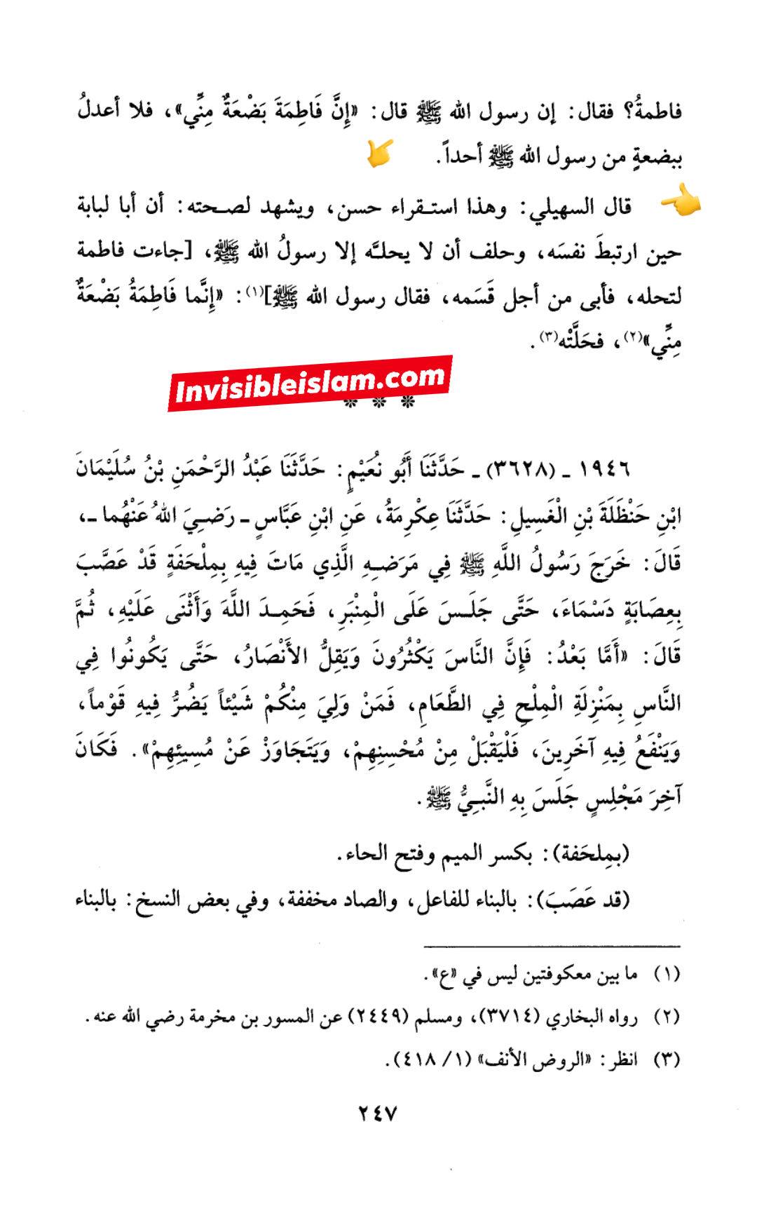 اہل سنت آئمہ : ہم سیدہ ص پر کسی کو فضیلت نہیں دیتے