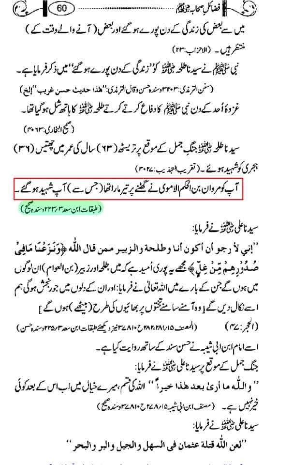 داماد عثمان اور قتل طلحہ زبیر علی زئی کی گواہی