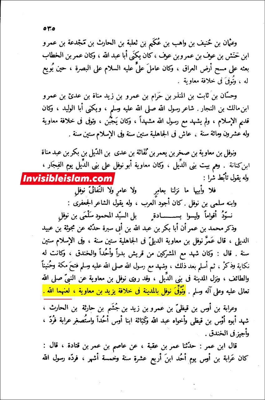 طبری کی طرف سے معاویہ اور یزید پر لعنت