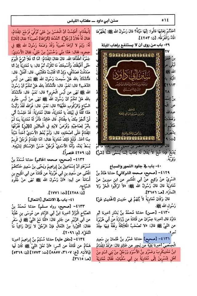 امام حسن علیہ السلام کی شہادت کو معاویہ کا مصیبت نہ سمجھنا
