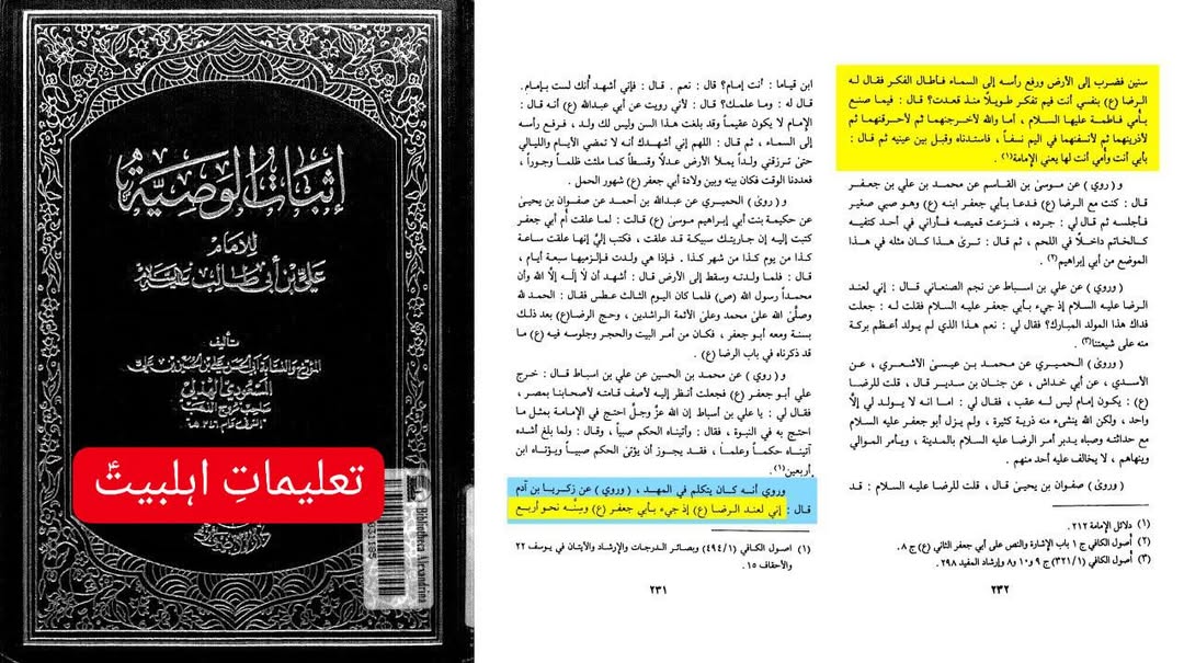 امام محمد تقی علیہ سلام اور مصائب زہرا ع