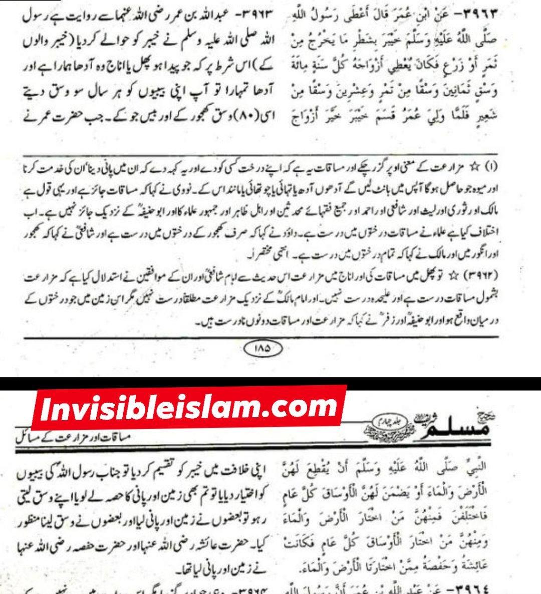 اگر واقعی رسول اللہ ص  کی میراث بیت المال ہے، تو دوم کو کس نے حق دیا تھا کہ وہ یہ بیت المال ازواجِ نبی میں بطور ملکیت تقسیم کرے؟