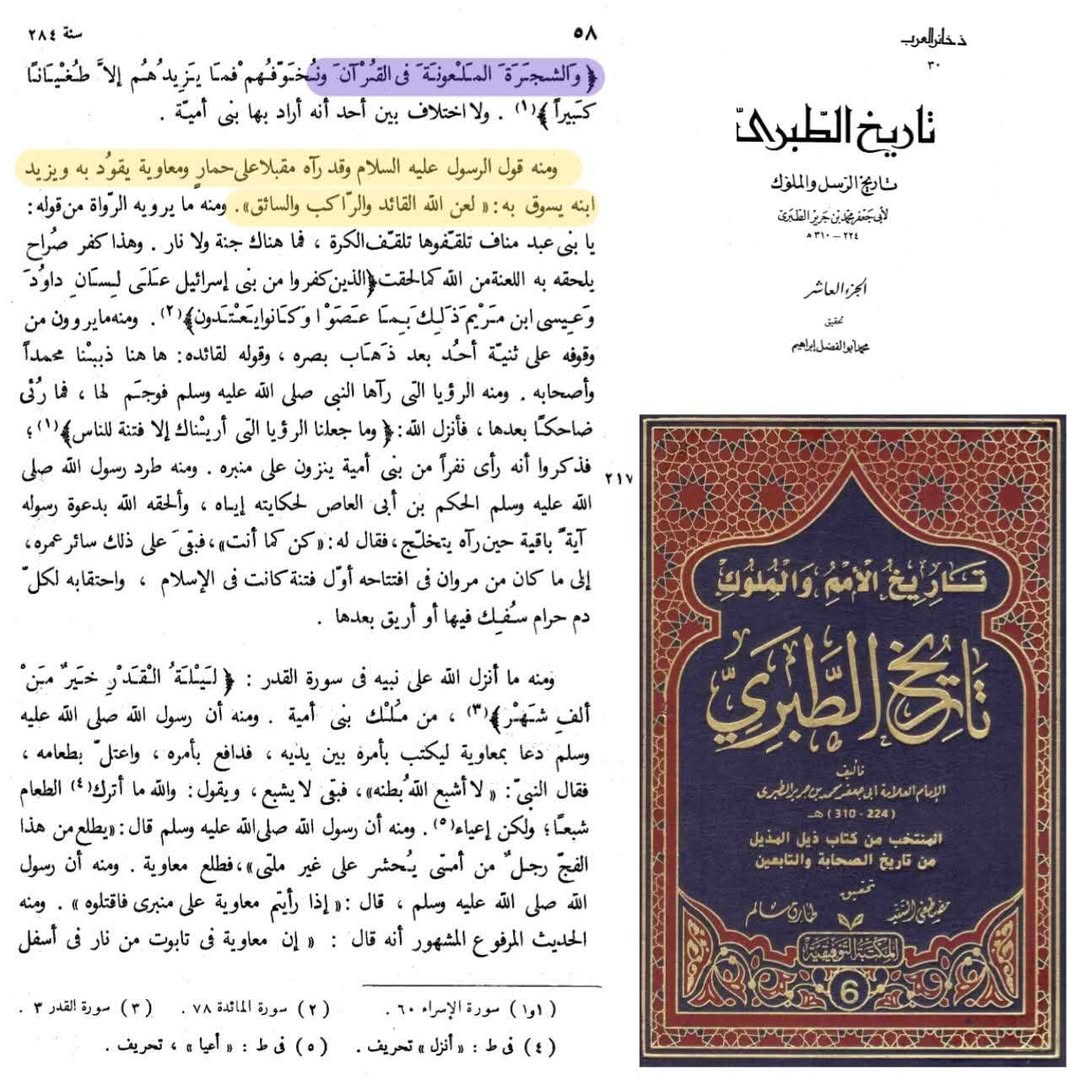 رسول خدا (ص) کا سخت الفاظ میں معاویہ پر لعنت کرنا