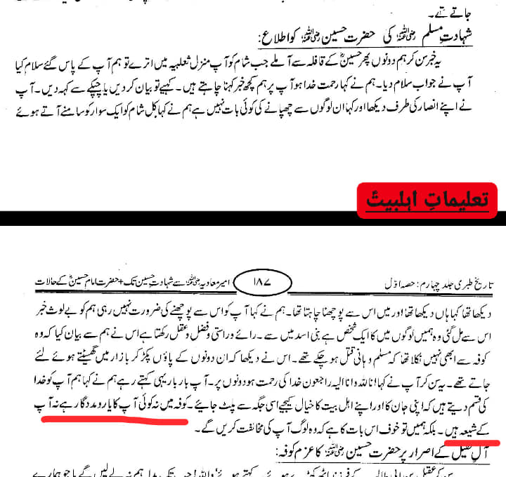 شیعان علی ع قاتل نہیں ، بلکہ شیعان علی ع کا کوفہ و کربلا میں قتل ہوا