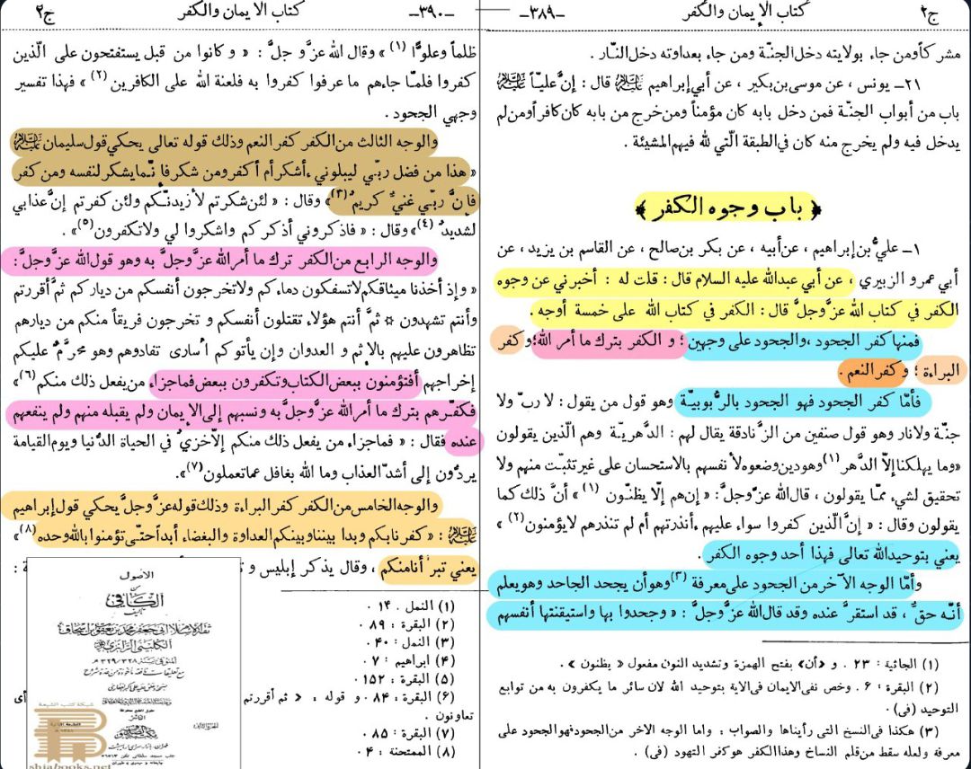 کیا شیعہ ہر اُس شخص کو کافر سمجھتے ہیں جو امامت کا عقیدہ نہ رکھتا ہو؟ Post 2