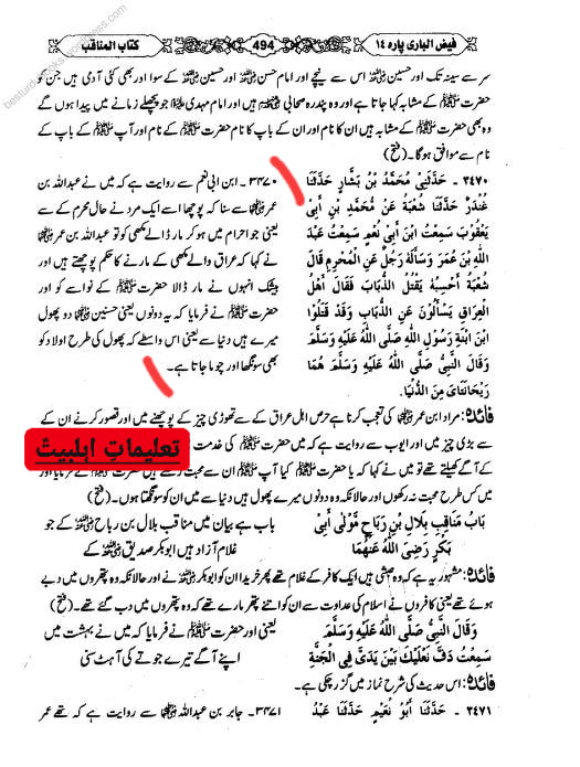 اہل کوفہ کا عقیدہ اور یہ شیعان اولی کون تھے ؟