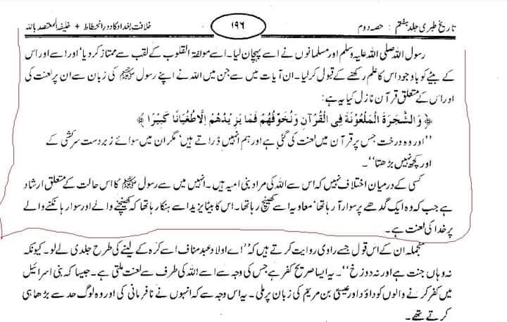 شجرہ ملعونہ