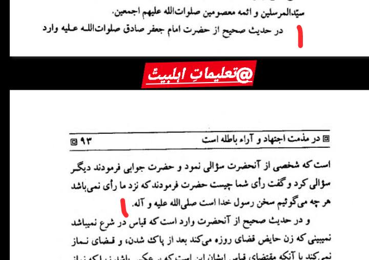 اہل بیت علیہم السلام کی بات، رسول اللہ ص کی بات ہے