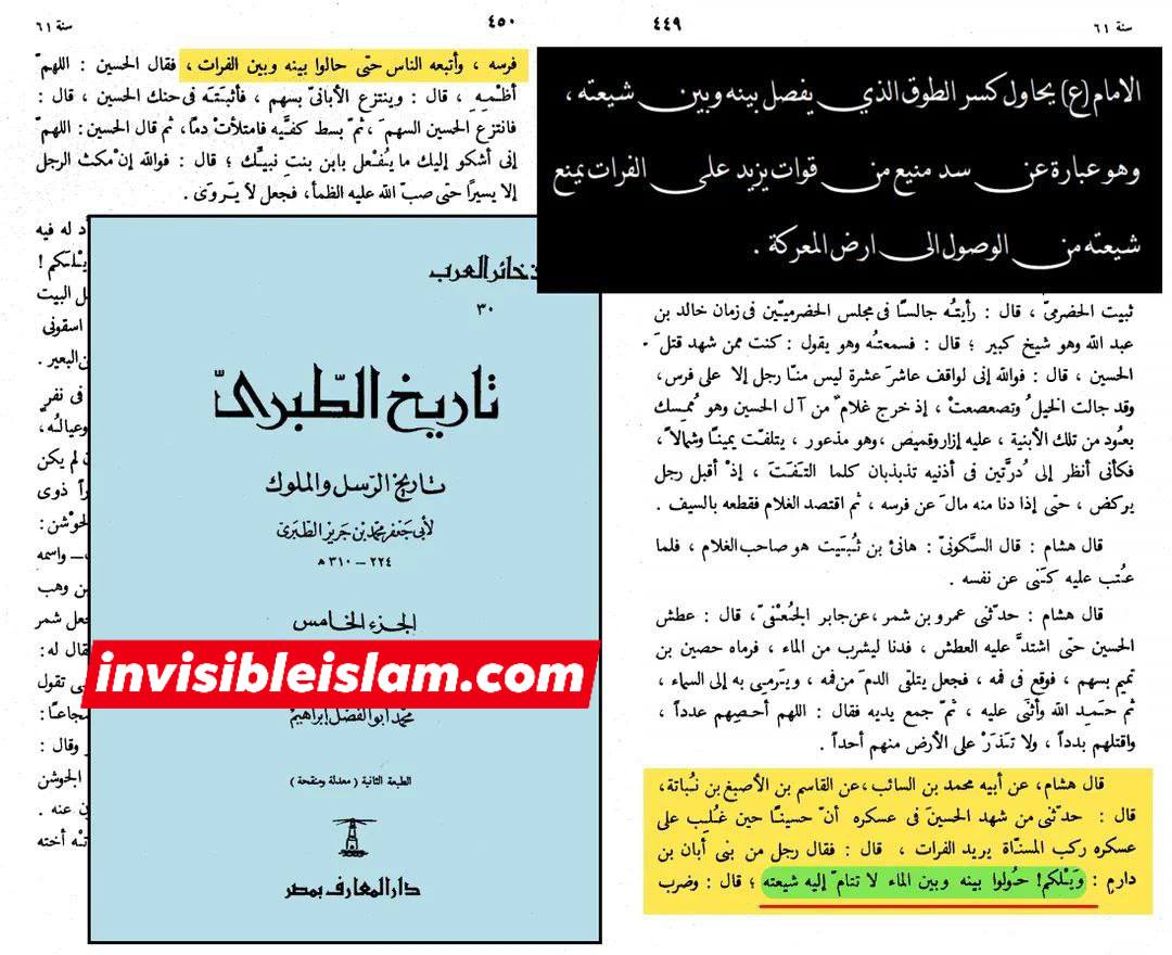 شیعانِ اہل کوفہ امام حسین ع کی مدد کیوں نہ کر سکے؟