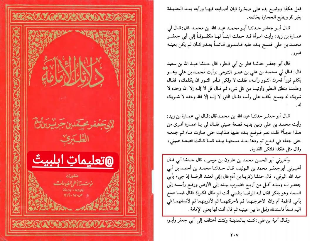 امام محمد تقی علیہ سلام اور مصائب زہرا ع