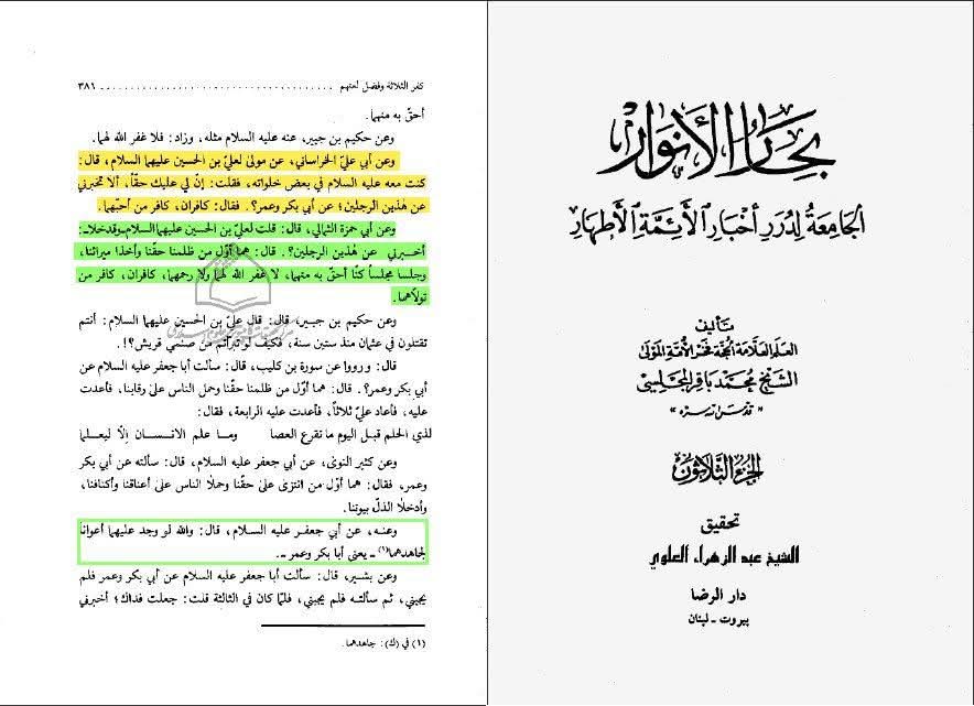 اوّل اور دوم (حضرت زہراء سلام اللہ علیہا کے دشمن) امام سجاد علیہ السلام کے کلمات میں