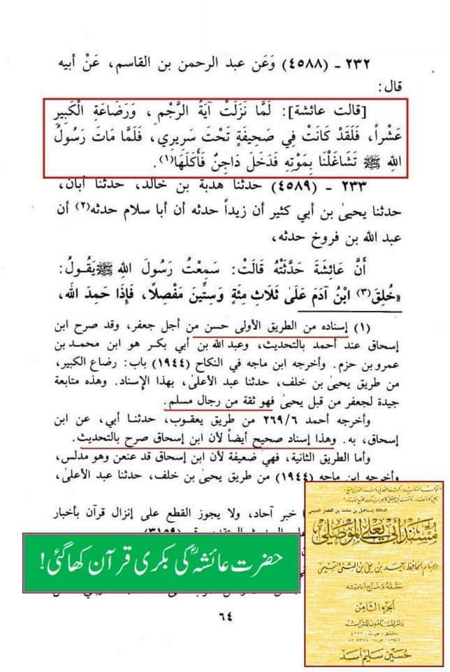 عقیدہ تحریف قرآن فی کتب اہلسنة (دوسرا حصہ) رجم اور رضاعت کبیر