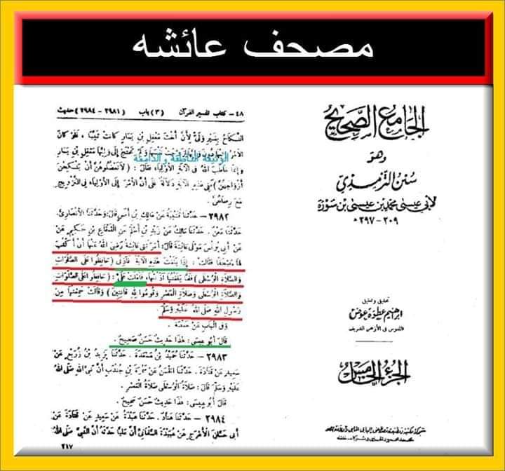 قرآن جلا دیا گیا