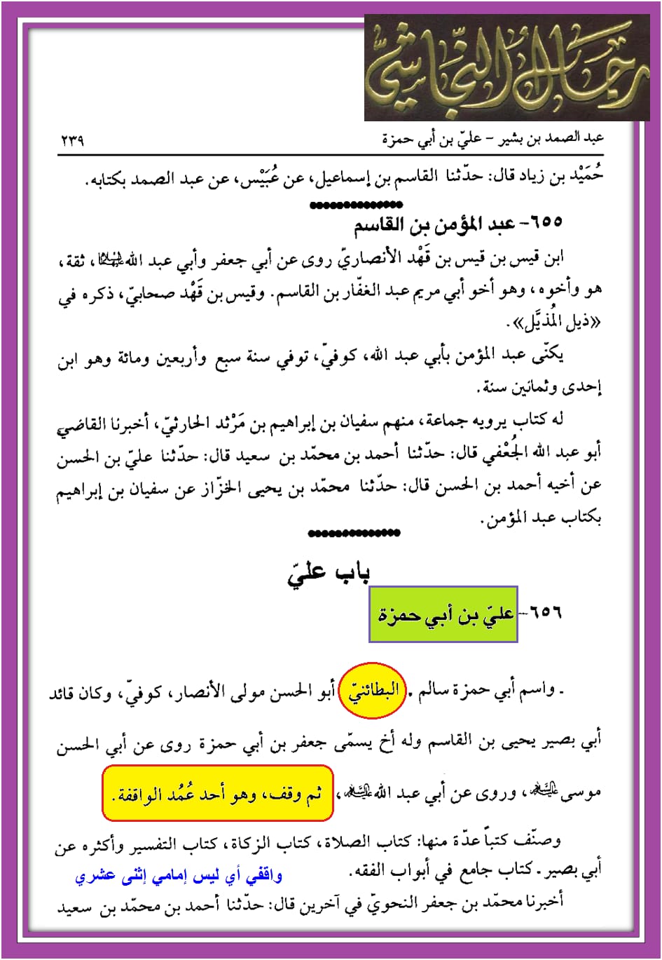 کیا رسول اللّه ص نے ابو طالب ع کا دودھ پیا ؟