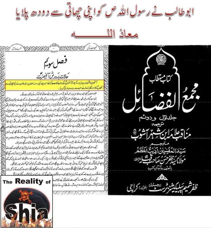کیا رسول اللّه ص نے ابو طالب ع کا دودھ پیا ؟