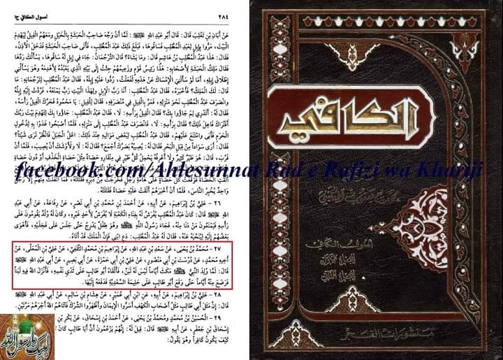 کیا رسول اللّه ص نے ابو طالب ع کا دودھ پیا ؟