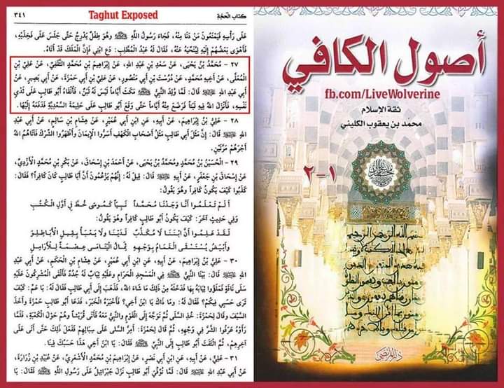کیا رسول اللّه ص نے ابو طالب ع کا دودھ پیا ؟