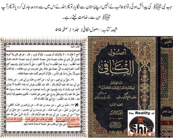 کیا رسول اللّه ص نے ابو طالب ع کا دودھ پیا ؟