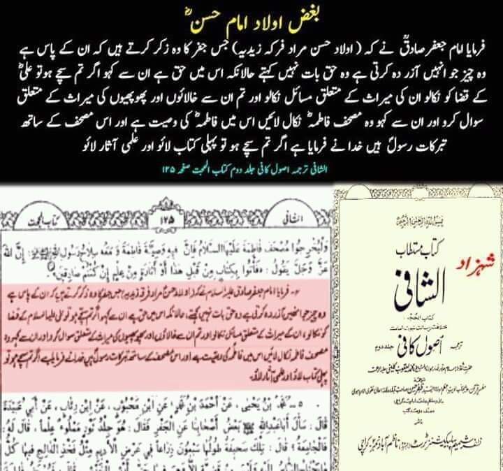 کیا شیعہ اولاد امام حسن ع سے بغض رکھتے ہیں ؟