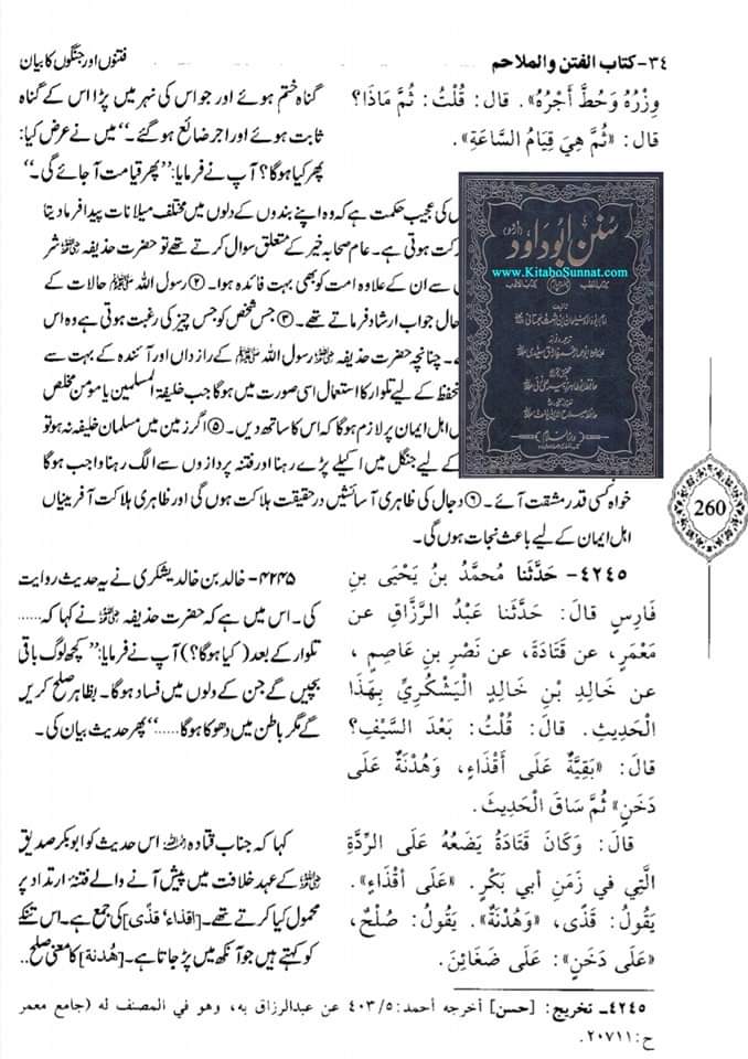 کیا امام حسن کا صلح کرنا اچھے تعلقات کی دلیل ہے ؟ (کتب اہل سنت)