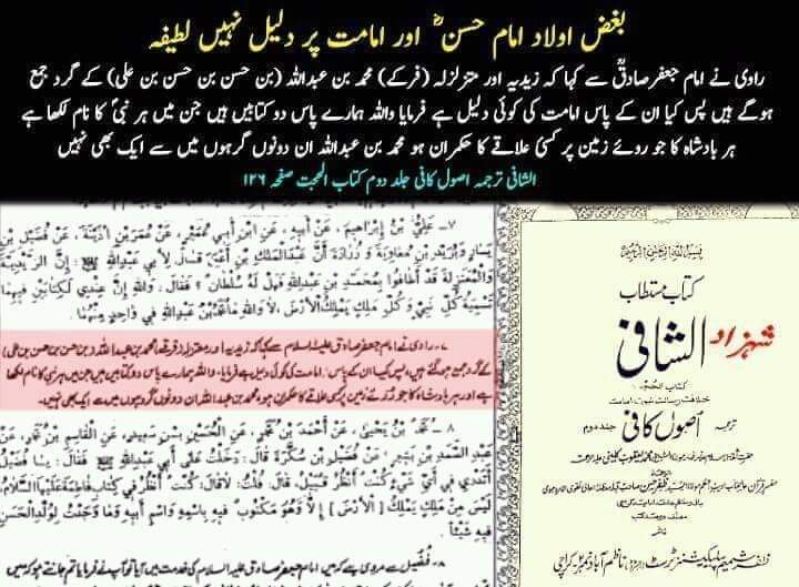 کیا شیعہ اولاد امام حسن ع سے بغض رکھتے ہیں ؟