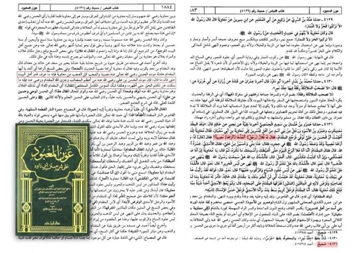 کیا امام حسن کا صلح کرنا اچھے تعلقات کی دلیل ہے ؟ (کتب اہل سنت)