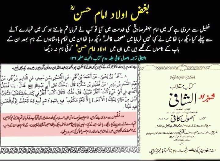 کیا شیعہ اولاد امام حسن ع سے بغض رکھتے ہیں ؟