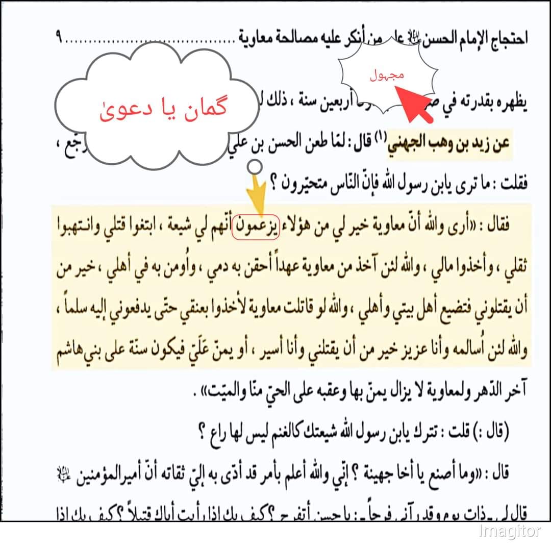 مولا حسنؑ سے متعلق ناصبیوں کے الزامات کے جوابات