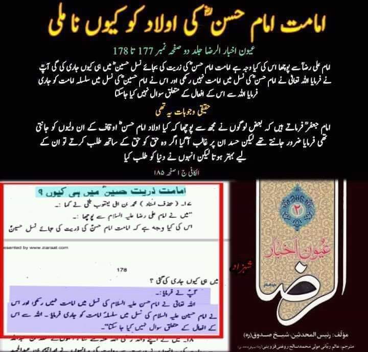 کیا شیعہ اولاد امام حسن ع سے بغض رکھتے ہیں ؟
