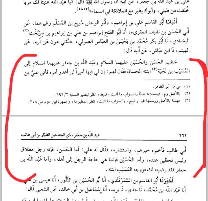 کیا امام حسن ع بہت زیادہ طلاقیں دیا کرتے تھے ؟