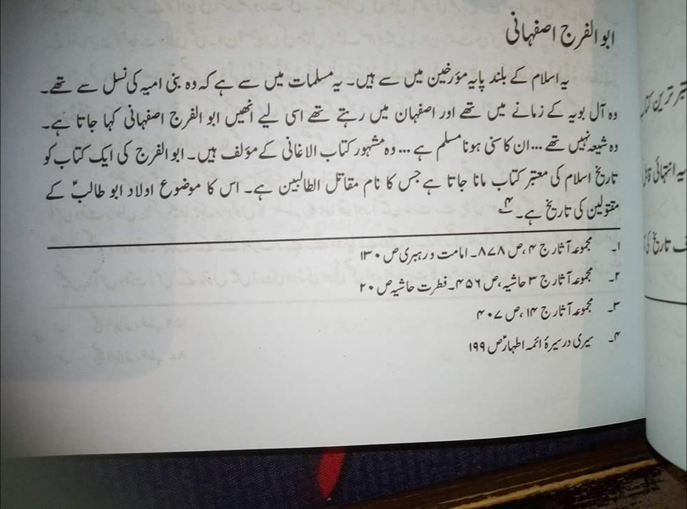 مولا حسنؑ سے متعلق ناصبیوں کے الزامات کے جوابات