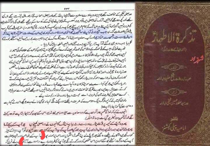 مولا حسنؑ سے متعلق ناصبیوں کے الزامات کے جوابات