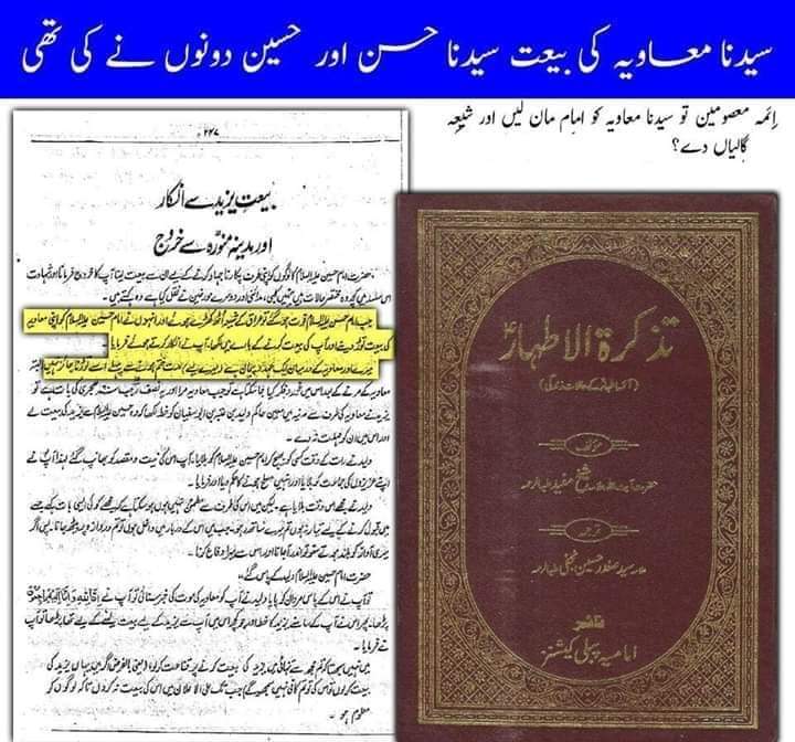 مولا حسنؑ سے متعلق ناصبیوں کے الزامات کے جوابات