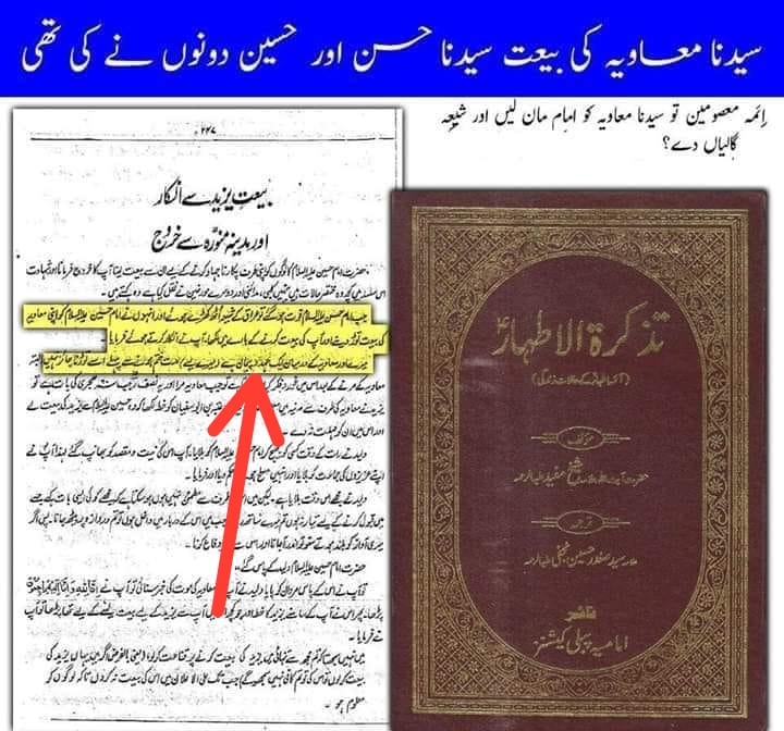 مولا حسنؑ سے متعلق ناصبیوں کے الزامات کے جوابات