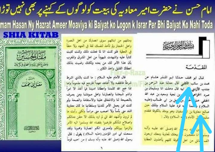 مولا حسنؑ سے متعلق ناصبیوں کے الزامات کے جوابات