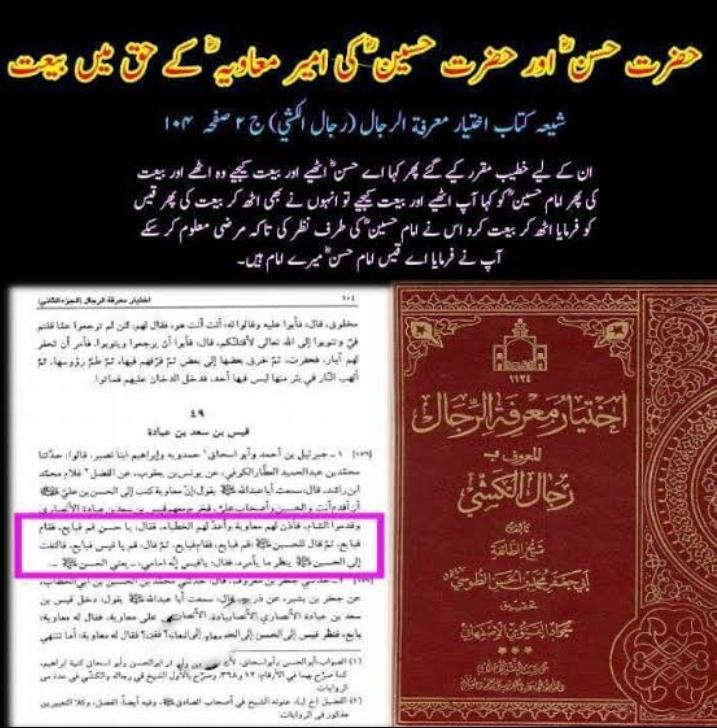مولا حسنؑ سے متعلق ناصبیوں کے الزامات کے جوابات