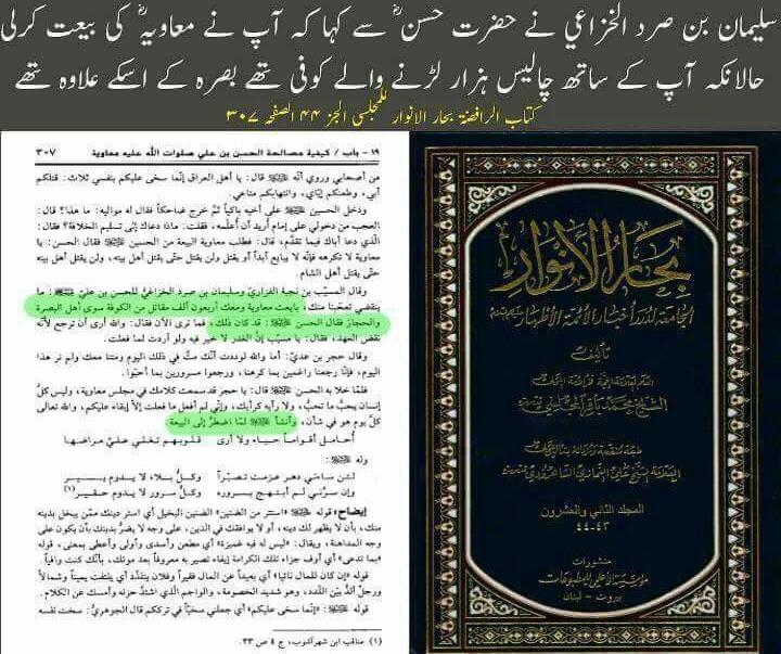 مولا حسنؑ سے متعلق ناصبیوں کے الزامات کے جوابات