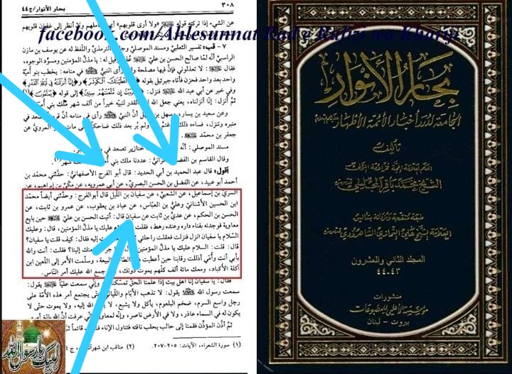 مولا حسنؑ سے متعلق ناصبیوں کے الزامات کے جوابات