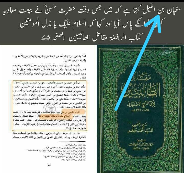 مولا حسنؑ سے متعلق ناصبیوں کے الزامات کے جوابات