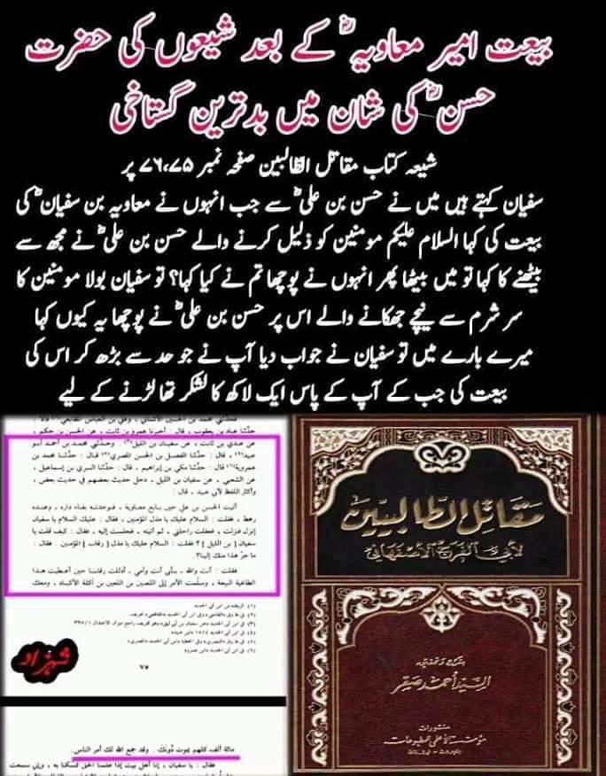 مولا حسنؑ سے متعلق ناصبیوں کے الزامات کے جوابات